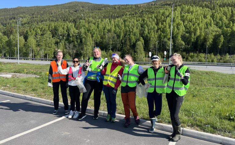 Reine Vassdrag – Ryddeaksjon Hallingdalselva